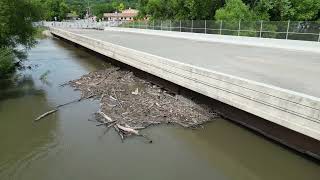 MN River Receding July 1 2024 Hwy 19 Henderson  Spiny Softshell Turtle [upl. by Palumbo]