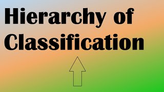 Taxonomic Hierarchy of Classification Explained [upl. by Groark]