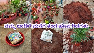 ನಮ್ಮ ಮನೆಗೆ ಹೊಸ ಗಿಡಗಳು ತಂದೆವು  Plants for our new rent house Rent House gardening  Mud Mixing [upl. by Elohcan]