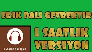 Erik Dalı Gevrektir  1 Saatlik  1 Saatlik Versiyon [upl. by Essile145]