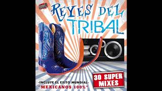 Reyes Del Tribal quot30 Super Mixesquot Disco Completo [upl. by Millda991]