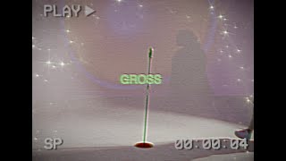 Gross Official Music Video [upl. by Anileda]