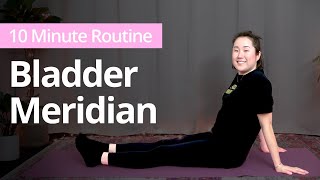 BLADDER MERIDIAN Exercises  10 Minute Daily Routines [upl. by Yajnas393]