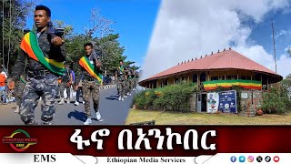 EMS Special ፋኖ በአንኮበር 16 Nov 2024 [upl. by Dafna]