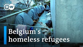 Refugees are forced to sleep on the street in Belgium  Focus on Europe [upl. by Refannej195]