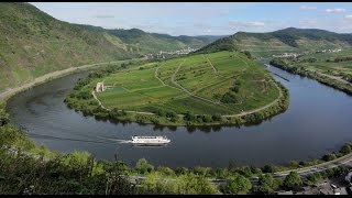 Mosel Wine harvest in Germany German Riesling in Moselle Valley Weinlese Deutschland Tourismus [upl. by Zabrina858]