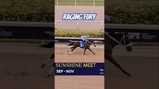 Raging Fury winning by a daylight in the 9th race GulfstreamPark SunshineMeet [upl. by Palumbo]