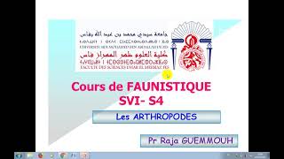 cours de faunistique svi s4 les arthropodes [upl. by Wiltshire]