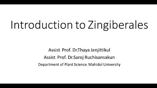 SCPL352 week 1 Introduction to Zingiberales อันดับขิง [upl. by Line]