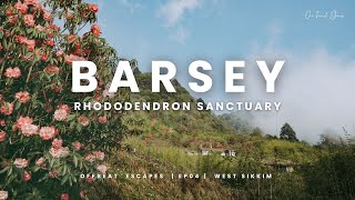 BARSEY RHODODENDRON SANCTUARY WEST SIKKIM  The Land of Rhododendrons  Offbeat Escapes  EP 04 [upl. by Eidnahs]