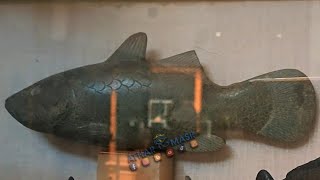 Antique fish statues in the Egyptian Museum 👀 egypt museum مصر history egyptian statue ترند [upl. by Irfan]