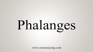 How To Say Phalanges [upl. by Folsom]