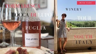 Tormaresca winery vlog a new quality standard for Puglias wines [upl. by Norward]