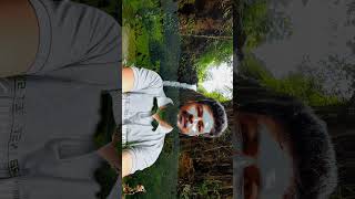 Apsarakonda waterfalls amp viewpoint Honnavar honnavar honnavara travel explore youtube shorts [upl. by Ayomat151]