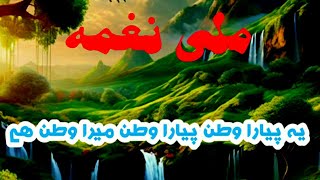 New Mili Naghma 2024  Ye Pyara Watan Hai  Noorpashtopoint 14 August [upl. by Notslar]