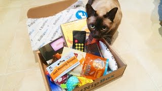 MY CATS FIRST SUBSCRIPTION BOX Kitnipbox unboxing review [upl. by Miranda]