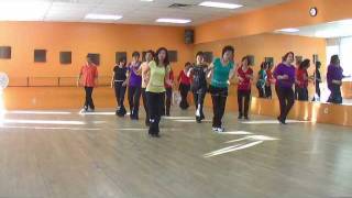 Seein Double  Line Dance Dance amp Teach in English amp 中文 [upl. by Sall886]