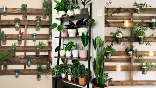 beautiful new styles of wall plants decor ideaswall wood shelves styles2024 [upl. by Brittnee565]