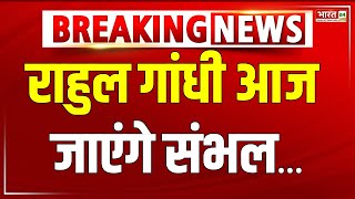 Sambhal Violence राहुल गांधी आज जाएंगे संभल पीड़ित परिवारों से करेंगे मुलाकात  Breaking News [upl. by Yung]