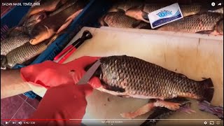 SAZAN NASIL TEMİZLENİR how to clean carp BALIK TEMİZLEME  BALIK PİŞİRME [upl. by Yrffej]