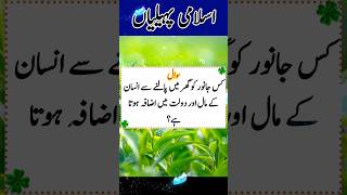 Urdu Islamic Quiz  Islami Paheliyan In Urdu  Knowledge Pedia  Tooba Urdu Quiz Part09 [upl. by Nnairb740]