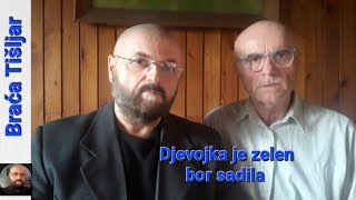 Braća Tišljar  Djevojka je zelen bor sadila [upl. by Viehmann]