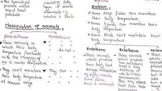 Temperature Classification Of Animals  Ectotherm  Endotherm [upl. by Annatnas]