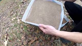 Mealworm Cleaning and Feeding [upl. by Korey]