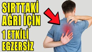 KÜREK KEMİKLERİ ARASINDAKİ AĞRI İÇİN 1 EGZERSİZ aktifizyo kulunçağrısı sırtağrısı [upl. by Ackler]