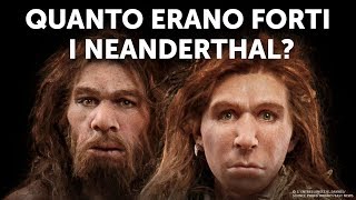 Chi Vincerebbe Umani Moderni vs Neanderthal [upl. by Shig]