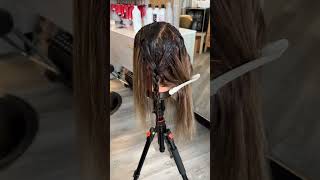 Braided Balayage Lowlight Technique  Abigail Resch Hairstylist [upl. by Lirba]