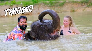 One Day With Elephant  ആനയും ഞാനും പിന്നെ  M4 Tech [upl. by Meit]