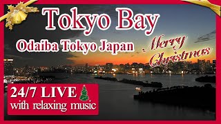 【東京湾ライブカメラ】 LIVE Tokyo Bay Traffic between ships and planes  Sea and Sky  japan travel  Live cam [upl. by Kal266]