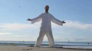 Heaven amp Earth Qigong [upl. by Annaik]