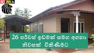 Land With House Sale In Homagama – Galawilawatta  Sri lanka  Watapitalk [upl. by Yrod15]