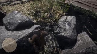 Red Dead Redemption 2 Dynamite Arrow Pamphlet  Wapiti Indian Reservation Grizzlies East [upl. by Viscardi495]