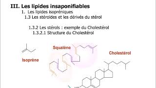 3 Les lipides insaponifiables [upl. by Iznil]