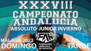 Campeonato de Andalucía ABSOLUTO de INVIERNO de natación Málaga 2023 – DOMINGO TARDE [upl. by Martelli400]