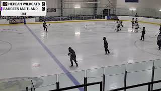 Nepean Wildcats vs Saugeen Maitland  27092024 [upl. by Eladal]