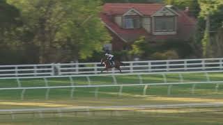 15 October Gallops Gallop 6 [upl. by Rabkin]