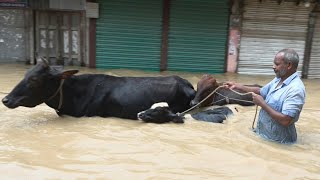 Deadly floods in Bangladesh affect millions  AFP [upl. by Balduin]