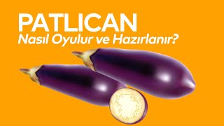 Patlıcan Nasıl Oyulur ve Hazırlanır [upl. by Josiah239]