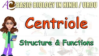 Centrioles Structure and Functions in Hindi  Urdu  Basic Biology for Beginners [upl. by Adli]