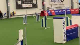 AgilityHundesporthalle Sterup [upl. by Silma]