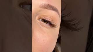 Lash Series Classic Brown Lashes lashextensions brownlashes beautyindustry [upl. by Lleinad]