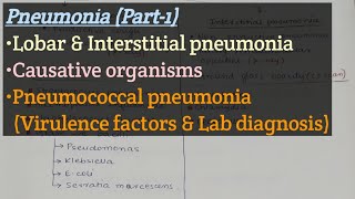 Pneumonia Part1  Types of Pneumonia  Pneumococal Pneumonia  Virulence factor  Lab diagnosis [upl. by Hayifas16]