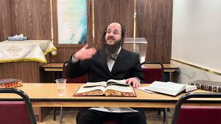 Mishnah Berurah 268 Rabbi Yosef Halpert [upl. by Frants291]