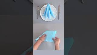 ✨ Create a Napkin Fan Fold in 30 Seconds 🍽️ [upl. by Htinnek]