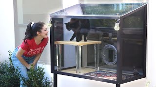 Is a stylish catio possible building a patio for our cat [upl. by Ishmul]