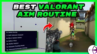 Pro Aim Coach Releases FREE Valorant Playlist [upl. by Relyuhcs]